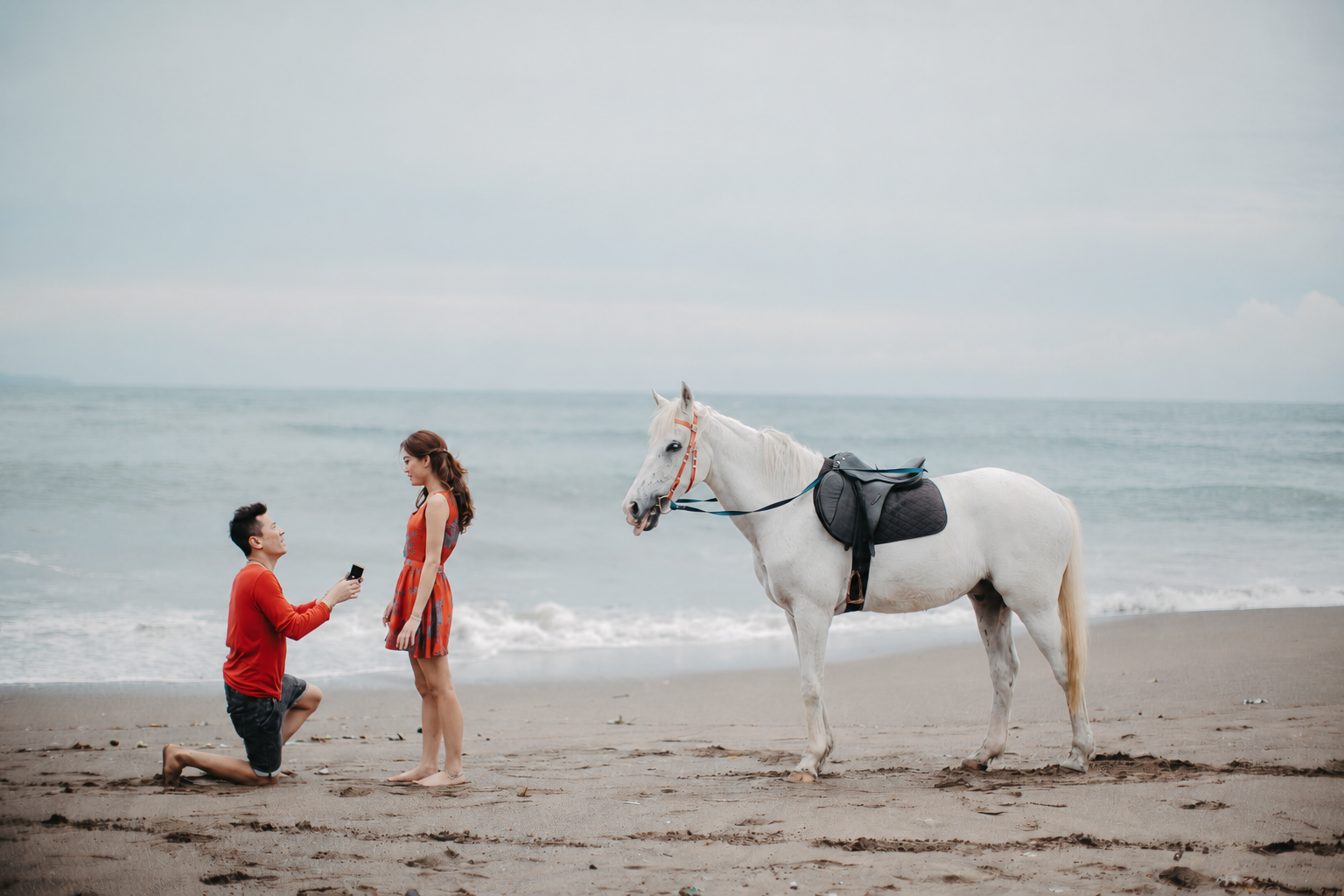 Framing the Perfect Question: Golden Hour, Locations, and Timing